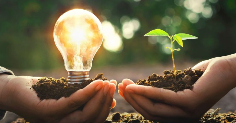 O que é Empreendedorismo Verde?