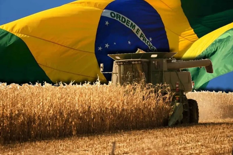 30 Largest agribusiness companies in Brazil