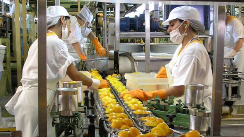 Consultoria de recrutamento para indústria alimentícia
