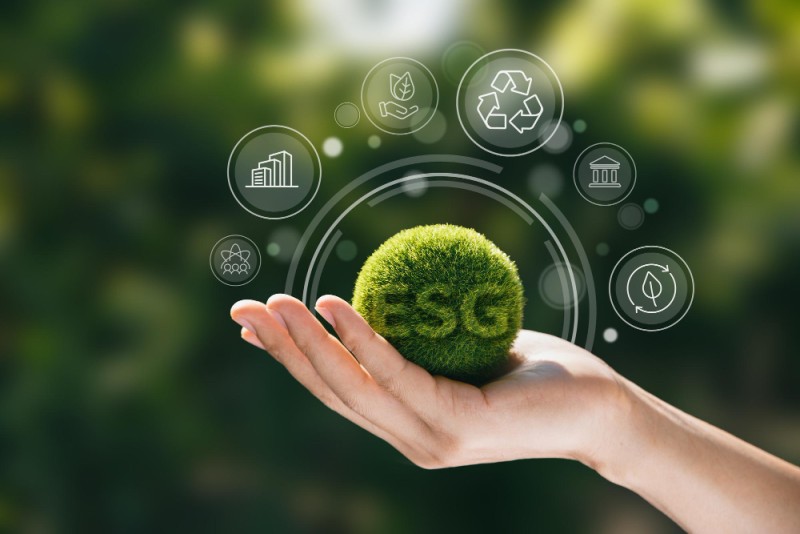 O Mercado de Trabalho e a Carreira em ESG