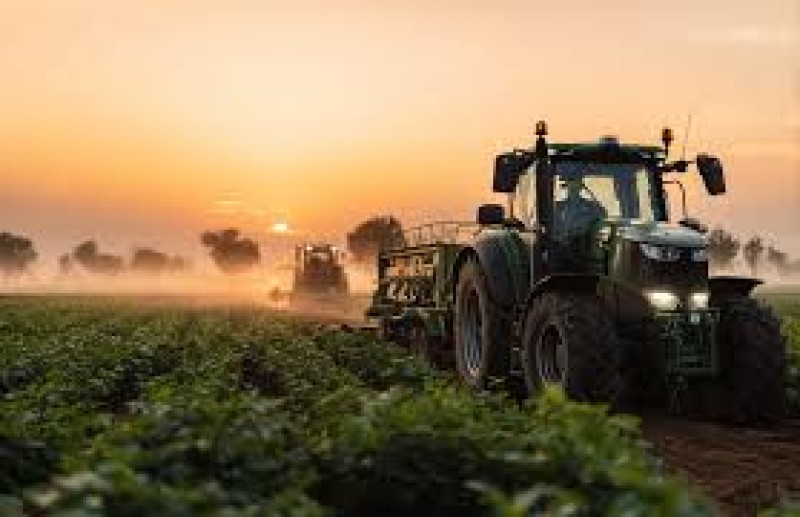 Os gigantes do agronegócio: conheça 50 maiores