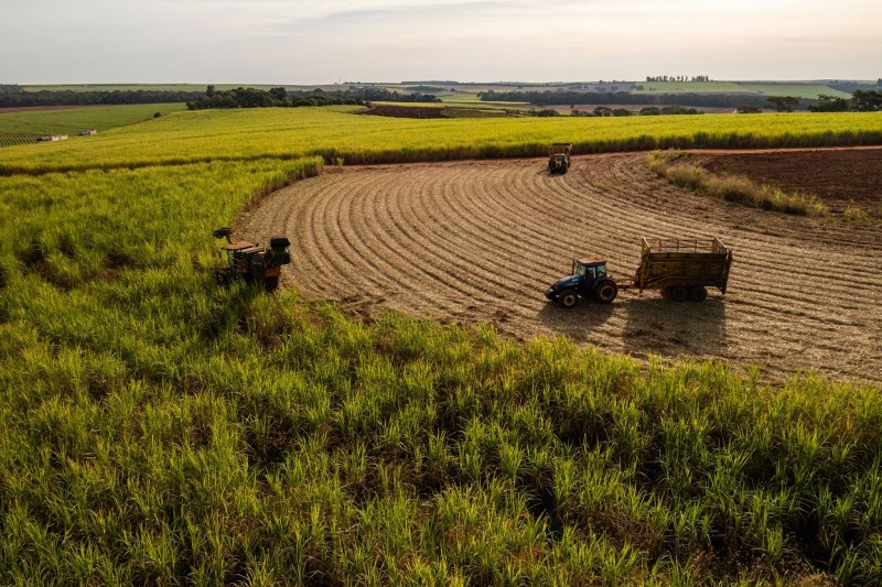 O que é agroindústria e quais seus impactos?