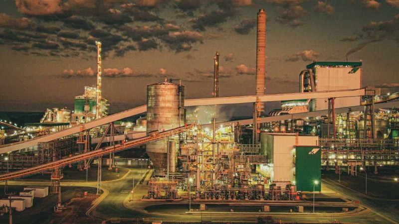 O futuro do setor de papel e celulose no Brasil