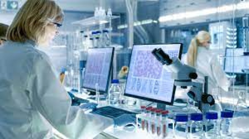 Quais são as áreas de atuação do Farmacêutico?