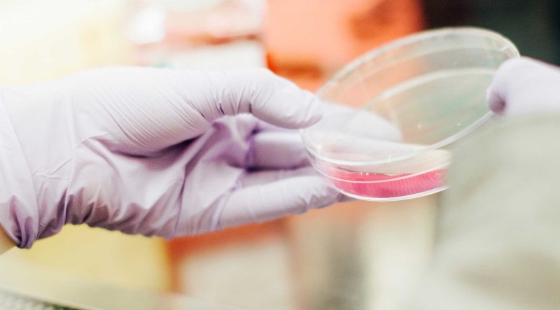 Pharmaceutical | Pharma Industry recruitment services