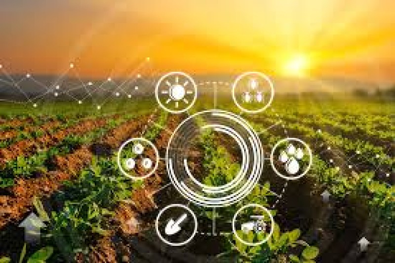 Quais são os principais mercados do agronegócio?