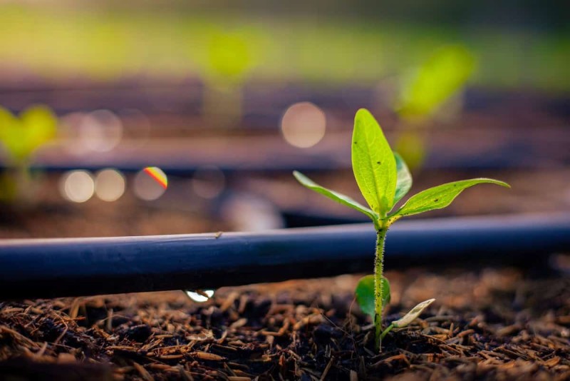 Profissionais do Agro para Insumos e Tecnologia - AGRO