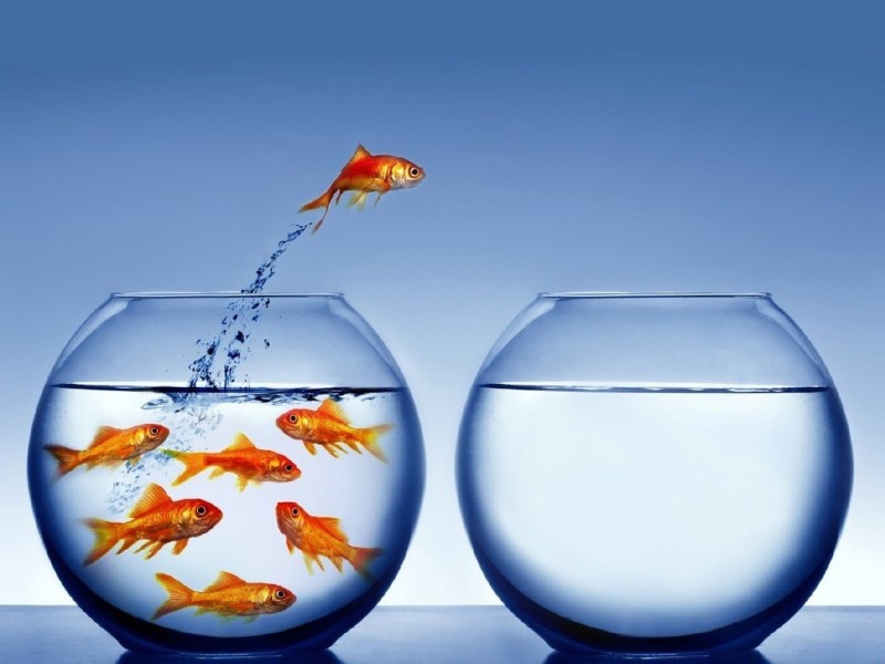 Headhunter Publicidad: Creativos a su servicio