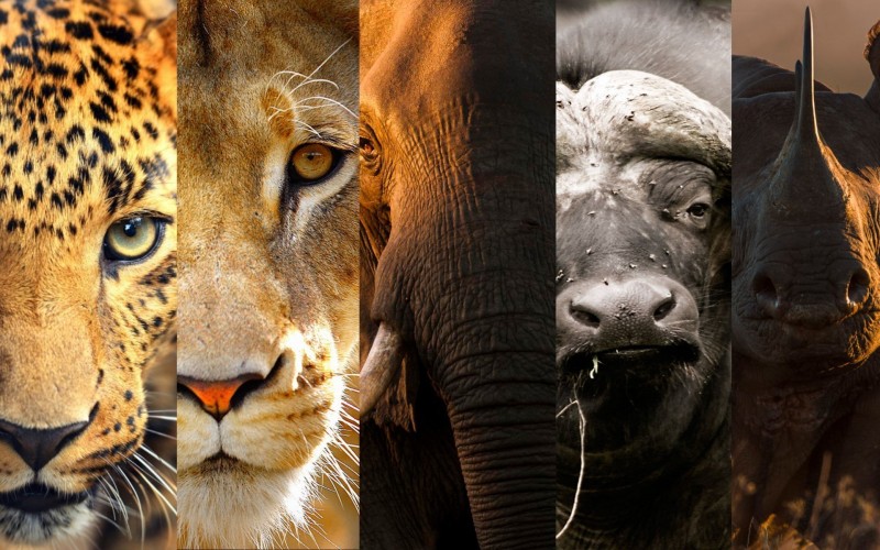 O Modelo dos Cinco Fatores (Big Five) da Personalidade