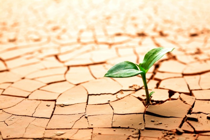 Porquê a Resiliência é Crucial no Ambiente Profissional?