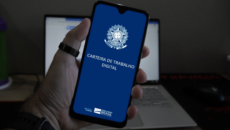O mercado de trabalho no Brasil