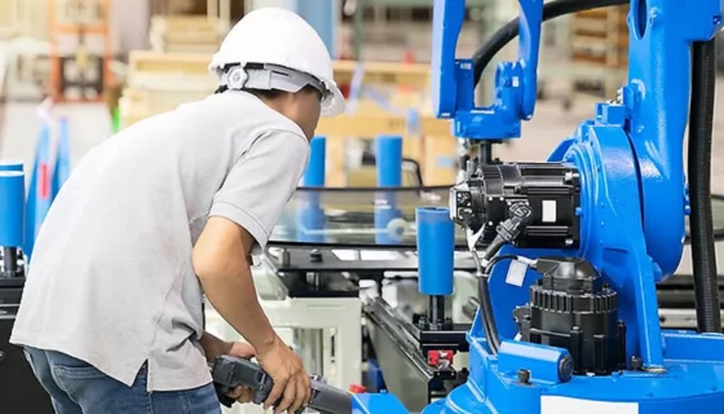 O Paradoxo do Mercado de Trabalho Brasileiro
